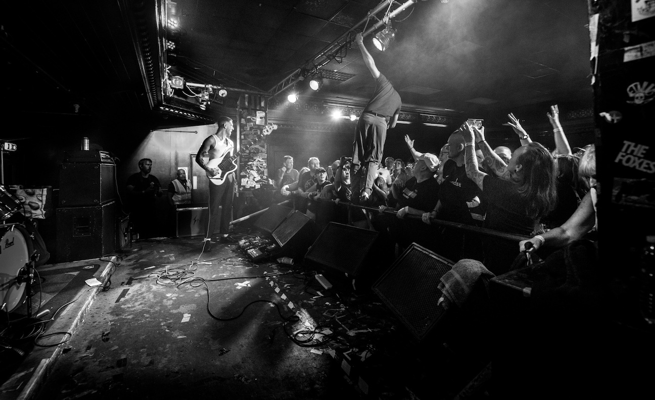 Fans at a concert