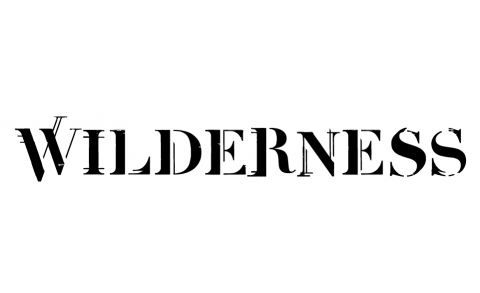 Wilderness Festival