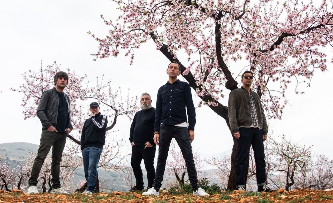 Going for gold: Cooking Vinyl's campaign to secure Shed Seven's first No.1 in a 30-year chart career